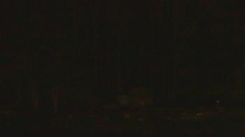 Weather camera view of John Dorr Nature Lab-Horace Mann School.