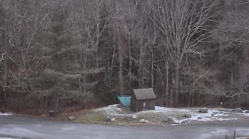 Weather camera view of John Dorr Nature Lab-Horace Mann School.
