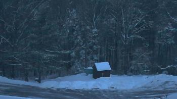 Weather camera view of John Dorr Nature Lab-Horace Mann School.