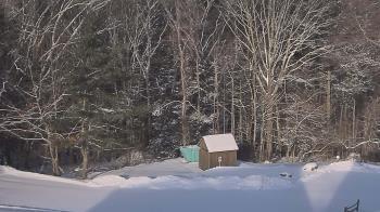 Weather camera view of John Dorr Nature Lab-Horace Mann School.