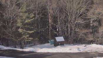 Weather camera view of John Dorr Nature Lab-Horace Mann School.