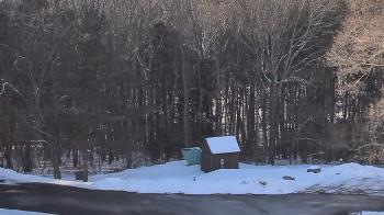 Weather camera view of John Dorr Nature Lab-Horace Mann School.