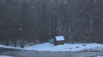 Weather camera view of John Dorr Nature Lab-Horace Mann School.