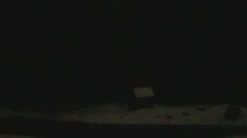 Weather camera view of John Dorr Nature Lab-Horace Mann School.