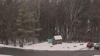 Weather camera view of John Dorr Nature Lab-Horace Mann School.