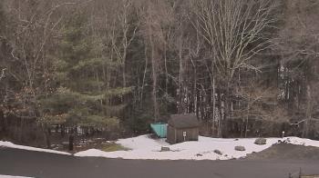 Weather camera view of John Dorr Nature Lab-Horace Mann School.