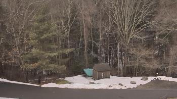 Weather camera view of John Dorr Nature Lab-Horace Mann School.