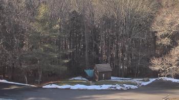 Weather camera view of John Dorr Nature Lab-Horace Mann School.