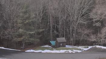 Weather camera view of John Dorr Nature Lab-Horace Mann School.