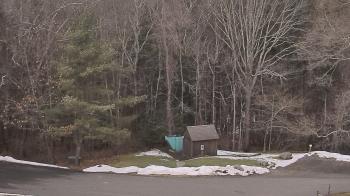 Weather camera view of John Dorr Nature Lab-Horace Mann School.