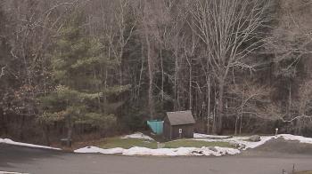 Weather camera view of John Dorr Nature Lab-Horace Mann School.