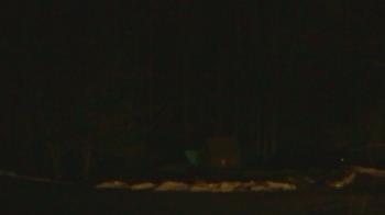 Weather camera view of John Dorr Nature Lab-Horace Mann School.