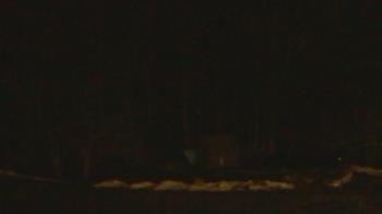 Weather camera view of John Dorr Nature Lab-Horace Mann School.