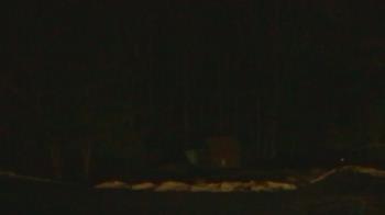 Weather camera view of John Dorr Nature Lab-Horace Mann School.