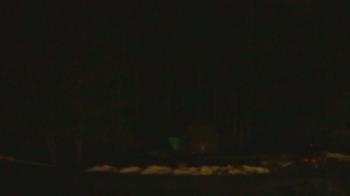 Weather camera view of John Dorr Nature Lab-Horace Mann School.