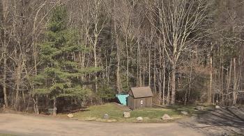 Weather camera view of John Dorr Nature Lab-Horace Mann School.