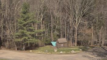 Weather camera view of John Dorr Nature Lab-Horace Mann School.