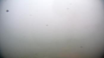 Weather camera view of First Community Bank.