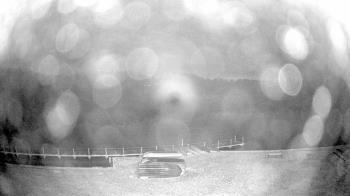 Weather camera view of Gilbert Run Park.