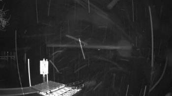 Weather camera view of Mallows Bay.