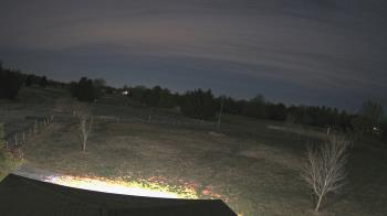 Weather camera view of Oak Ridge Park.