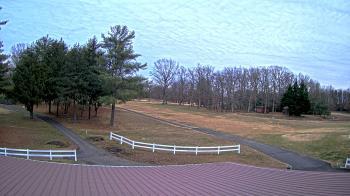 Weather camera view of White Plains Regional Park.