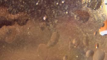 Weather camera view of P.V. Moore HS.