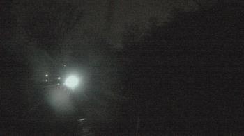 Weather camera view of Camp Guyasuta.