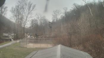 Weather camera view of Camp Guyasuta.