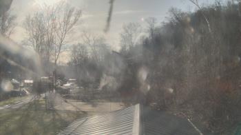 Weather camera view of Camp Guyasuta.