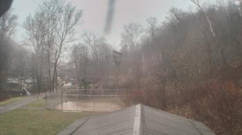 Weather camera view of Camp Guyasuta.