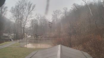 Weather camera view of Camp Guyasuta.