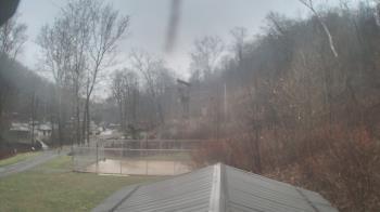 Weather camera view of Camp Guyasuta.