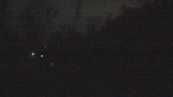 Weather camera view of Camp Guyasuta.