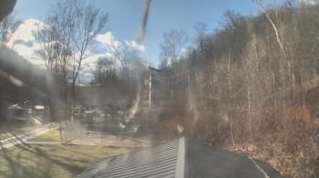 Weather camera view of Camp Guyasuta.