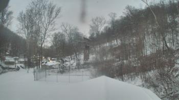 Weather camera view of Camp Guyasuta.