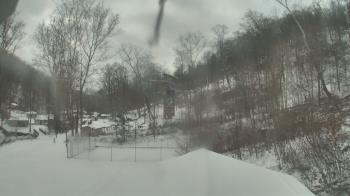 Weather camera view of Camp Guyasuta.