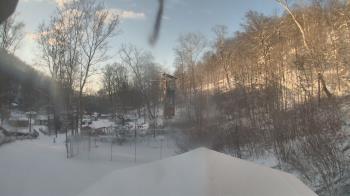 Weather camera view of Camp Guyasuta.