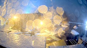 Weather camera view of St. Bridget School.