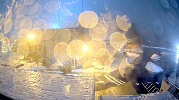 Weather camera view of St. Bridget School.