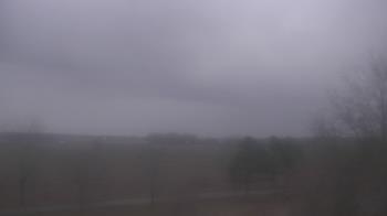 Weather camera view of Walkers Bluff.