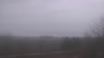 Weather camera view of Walkers Bluff.