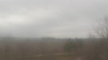 Weather camera view of Walkers Bluff.