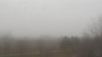 Weather camera view of Walkers Bluff.