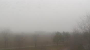 Weather camera view of Walkers Bluff.