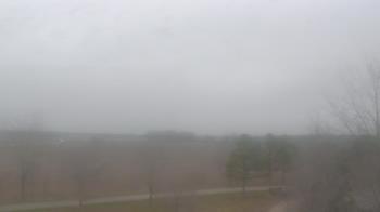 Weather camera view of Walkers Bluff.