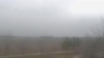 Weather camera view of Walkers Bluff.