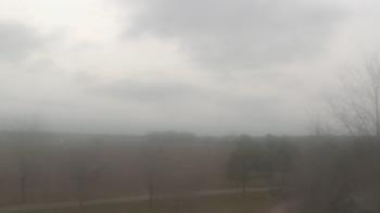 Weather camera view of Walkers Bluff.