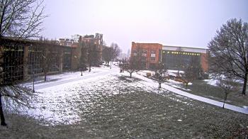 Weather camera view of Misericordia University.