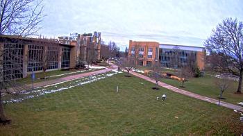Weather camera view of Misericordia University.